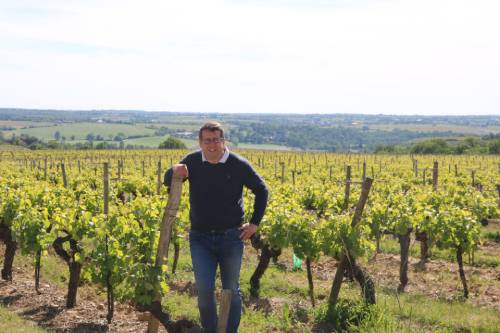 philippe dans les vignes